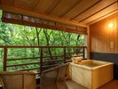 �y�w����I�V���C�t���a�m���z1�K�ɂ��闎�����������͋C�̋q���B