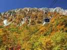 紅葉の大観峰