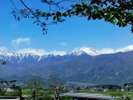 北アルプスの山々を望む初夏