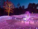 国営アルプスあづみの公園のイルミネーションは11月〜1月までの限定!