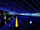 大自然広がる幻想的な世界をお楽しみいただけます