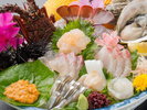 目前に広がる天草灘で獲れる新鮮な魚介類!
