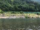 【日高川】子供たちは時間を忘れるほど川遊びに夢中!