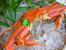 ・かにの湯がきもお任せください。