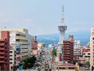 【周辺観光/車で約10分】別府のシンボルといえばここ!「別府タワー」