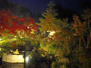 ライトアップされた紅葉、そして庭園。食後にちょっとお散歩を!!