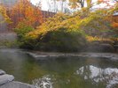 【露天風呂 瑠璃の湯】秋の露天風呂 その日の気温や湿度によってお湯の色が変化いたします。