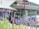 【外観】季節によって様々なお花がお客様をお迎えします。