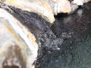 【露天風呂 瑠璃の湯】当館のお湯は美肌効果もある上質な温泉です。湯治にも最適です。