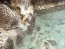【コンヤ温泉】PH10.3・肌が3歳若返る!?と言われる”とろとろ美肌の湯”を貸切りで好きなだけ。