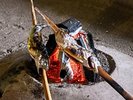 【アマゴの塩焼き】梅ヶ島で獲れたアマゴは香ばしい皮目と柔らかな身の旨味が口いっぱいに広がります。