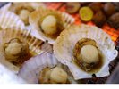 ◆炙り焼きコーナー(ホタテ)