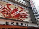 ここも道頓堀のシンボルかに道楽♪前を通るだけでカニ気分になります。<ホテルより電車で約15分>