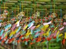 金櫻神社 お車で25分 風鈴の音が涼やかな夏の癒しスポットです