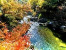 紅葉狩りの人気スポット昇仙峡まで当館よりお車で約25分です。