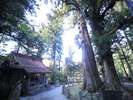 【塩原八幡宮】境内にはさかさ杉を育てた長寿の水として有名な湧水が滝となって流れ出ています。