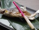 創作料理※イメージ