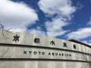 【京都水族館】当ホテルよりJR利用(山科駅→京都駅→梅小路京都西駅)で約15分の好アクセスでございます。