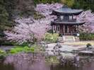 勧修寺