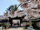 本願寺山科別院