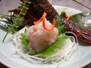 �ɐ��C�V������