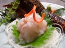 �ɐ��C�V������