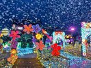 �O�����C���~