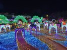 �O�����C���~