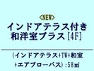 <NEW>�C���h�A�e���X�t�a�m���v���X[4F]:56�u