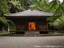 【富貴寺】大堂は日本三大阿弥陀堂のひとつ、季節毎の境内の景色も美しい・・・当館から車で65分