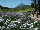 【神楽女湖】花菖蒲の季節は多くの人で賑わう。紫色の濃淡は息をのむ美しさ・・・当館から車で35分