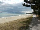 【奈多海岸】南北約2kmに渡って続く砂浜に見事な枝ぶりのクロマツが並ぶ・・・当館から車で25分