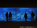 【うみたまご】大回遊水槽は迫力満点のサメやエイをはじめ様々な魚が泳ぐ・・・当館から車で25分