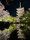京都をおもいっきり楽しみたい!というあなたにおススメ!