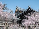 佛光寺 ホテルより徒歩約6分