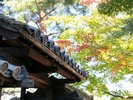 高台寺 ホテルより約25分 京都市営バス「烏丸五条」→「東山安井」徒歩約6分