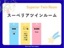 �X�[�y���A�c�C�����[���^Superior Twin Room