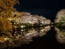 【鹿野城の夜桜】水面に映り込む桜が絶景。お車で約45分