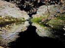 【鹿野城跡】夜桜ライトアップも美しい、戦国時代の城主居城跡。