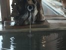 【大浴場/水風呂】サウナ上がりにかかせない。