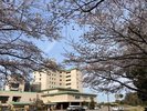 外観(春)桜開花