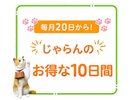 じゃらんお得な10日間