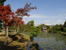 津山衆楽園　お車で約40分。江戸時代初期に作庭された歴史ある廻遊式大名庭園です。