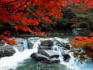 季譜の里からお車で約50分。紅葉のスポット奥津渓です。見頃は11月上旬～中旬頃。