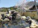 【大露天風呂】藤の花房