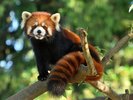 「千葉市動物公園」で動物と触れ合える!