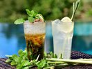 �y4/1�`6/30�zEarly Summer Cocktails - Green Breeze -�@���C�u�����[���E���W���o�[