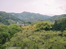 【景観】良質な自家源泉と客室からの借景は変わらず