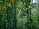 【景観】湯河原の自然。風光明瞭な景観です