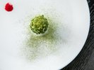 【フレンチディナー】苔玉のように美しい、フレンチの遊び心。